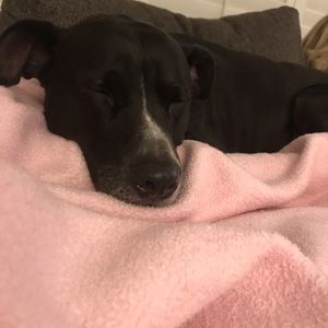 Meet your Posher, Ella